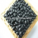 black kidney bean,puerdo ,factory - product's photo