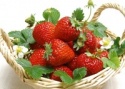 canned strawberry - product's photo