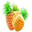 canned pineapple - product's photo