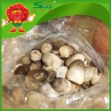 cold storage mushroom fresh straw mushroom - product's photo