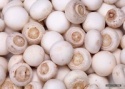 frozen nameko mushrooms healthy and high quality - product's photo