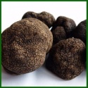 new crop 4-8cm fresh black tuber indicum truffle - product's photo