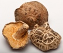 2016 quality dried mushroom - product's photo