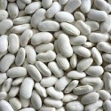 100% high quality white kidney bean - product's photo