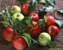 fresh apple turkish - product's photo