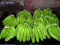 cavendish banana green - product's photo
