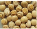 sliced button mushroom/canned whole mushrooms - product's photo