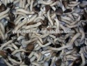 salted shimeji mushroom in brine - product's photo