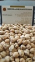 ceci ( chickpeas ) - product's photo