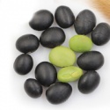 black bean with green kernel - product's photo
