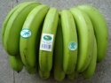  fresh bananas - product's photo
