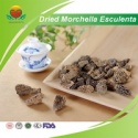 manufacture supply dried morchella esculenta - product's photo