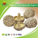 eu organic dried agrocybe aegerita - product's photo
