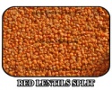 red lentils split - product's photo