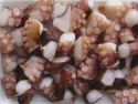  octopus takoyaki  - product's photo