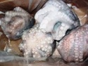 grade aa quality octopus - product's photo
