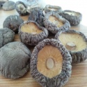 	 dried shiitake mushroom - product's photo