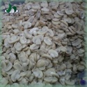 best selling products delicious canned fresh white button mushroom - product's photo