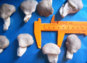 frozen oyster mushroom - product's photo