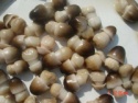 canned straw mushroom - product's photo