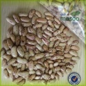 /light red kidney beans - product's photo