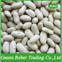 white kidney beans spanish type - product's photo