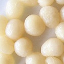 canned longan in syrup - product's photo