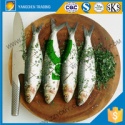  canned sardine in tomato sauce - product's photo