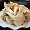 edible mushroom - product's photo