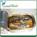 sardines in oil - product's photo