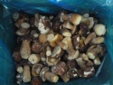 iqf boletus edulis mushroom - product's photo
