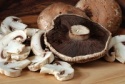 portabello mushroom - product's photo