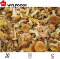 china mushroom frozen chanterelles mushroom brands - product's photo