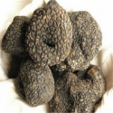 supply wild mushroom /dried black truffle - product's photo