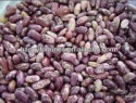 purple speckled kidney beans - product's photo