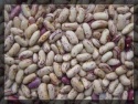 light speckled kidney beans long shape/rose coco beans - product's photo