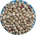 light speckled kidney beans xinjiang round shape - product's photo