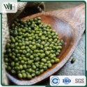 machine dressed green mung bean - product's photo