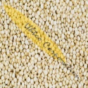 andina sprouted canihua grain  - product's photo