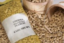 peanuts - product's photo