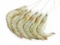 indian white prawn - product's photo