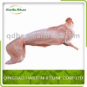 frozen rabbit bone in whole carcass - product's photo