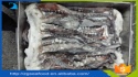 frozen giant squid tentacles witout sucker - product's photo