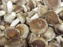 dried fresh chanterelle mushroom - product's photo