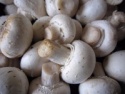 fresh bottom white mushrooms - product's photo