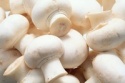 top grade bottom mushroom - product's photo