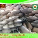ecent price newest wholesale chaga mushroom - product's photo