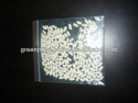 white kidney beans (size:180) - product's photo