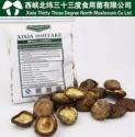 winter shiitake mushroom - product's photo