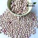speckled kidney all variety beans - product's photo